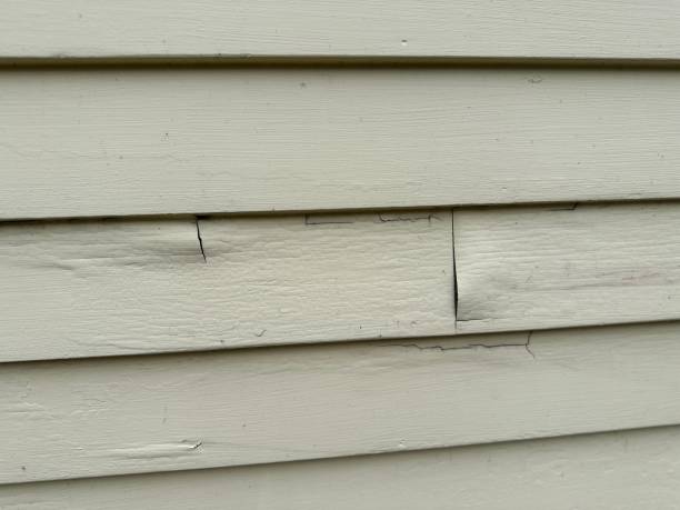 Trusted Woodlake, VA Siding Installation & Repair Experts